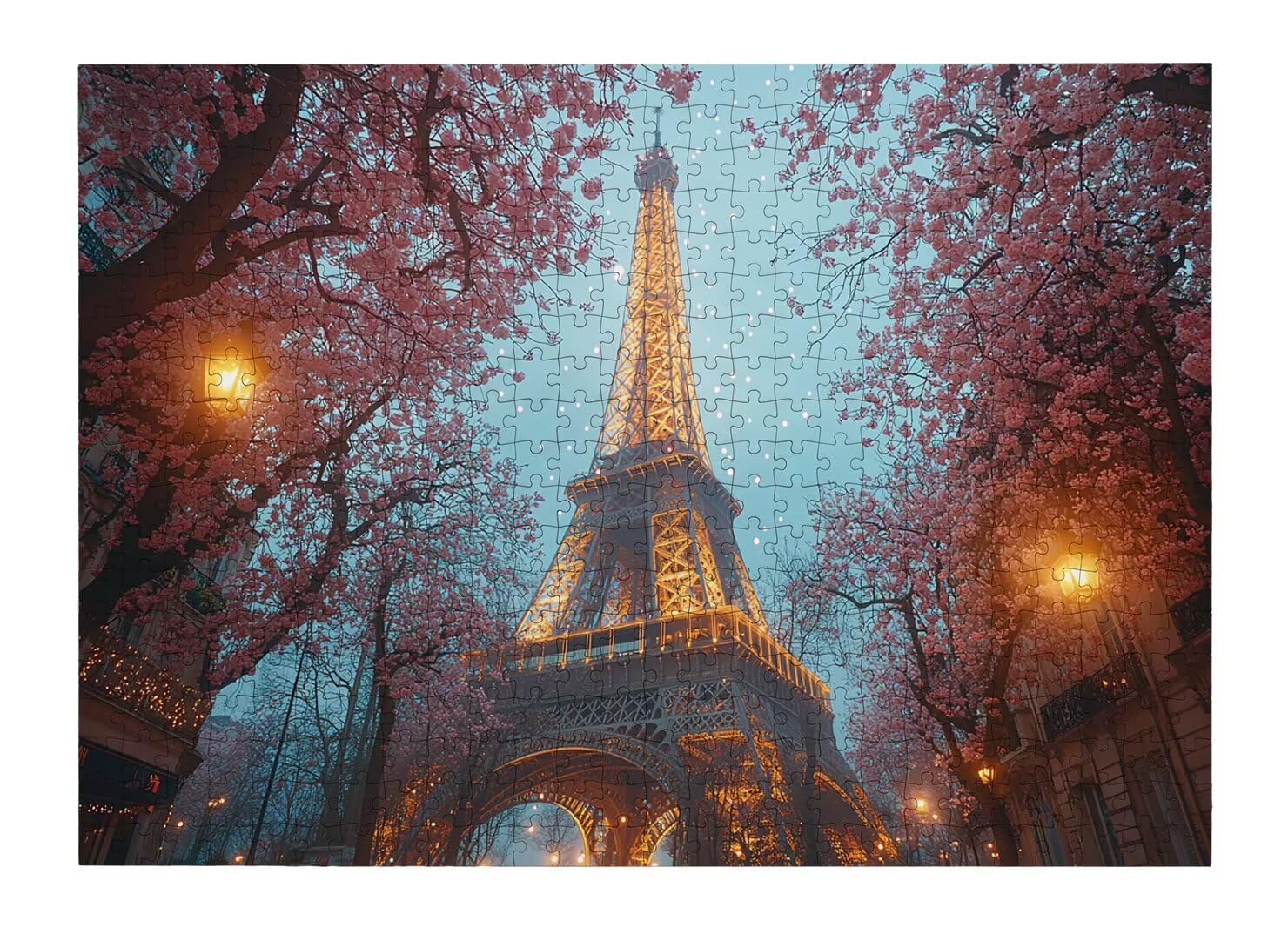 Puzzle Parigi, Puzzle 1000 Pezzi Arte per Adulti, Regalo Uomo e Donna -4765