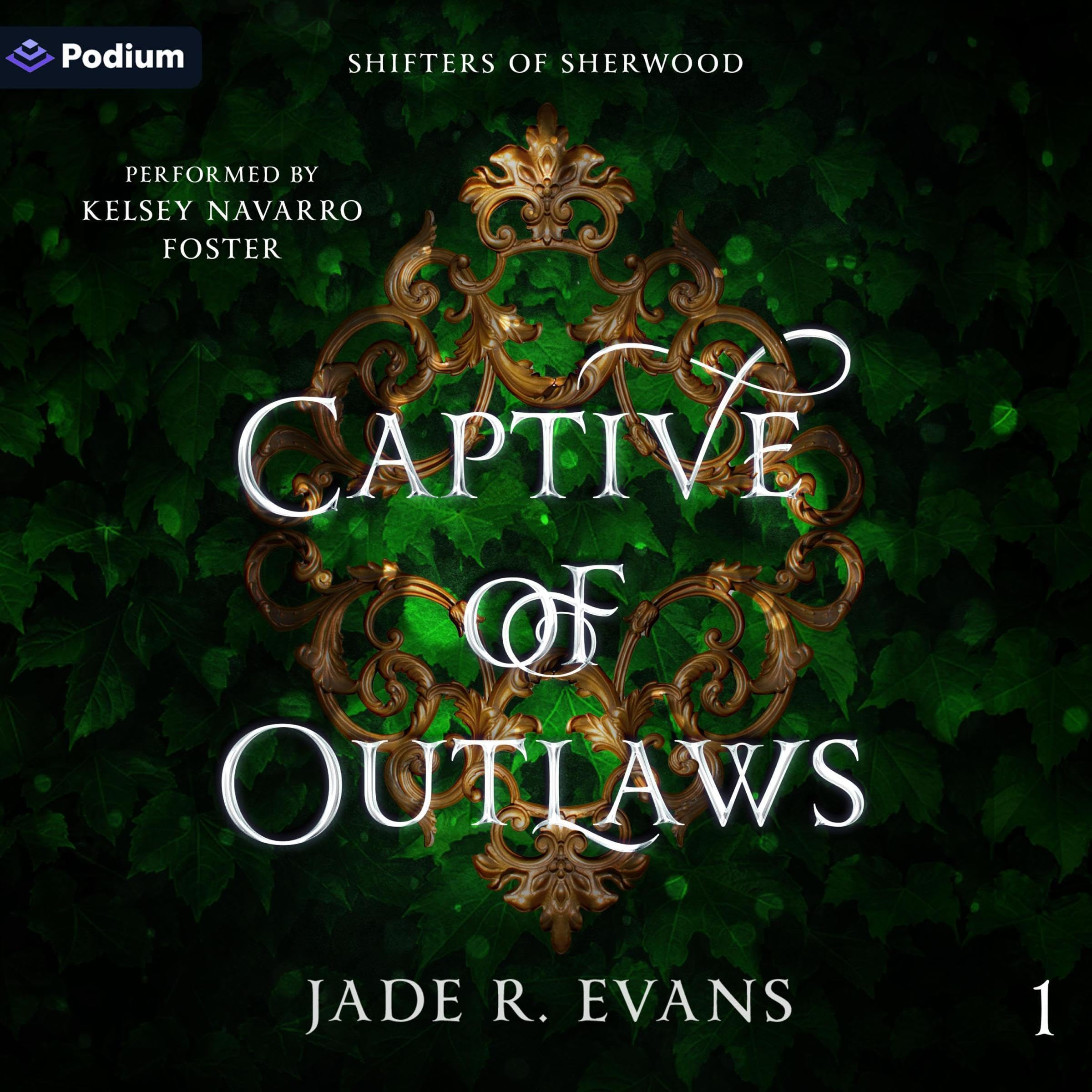 Cover art for Captive of Outlaws