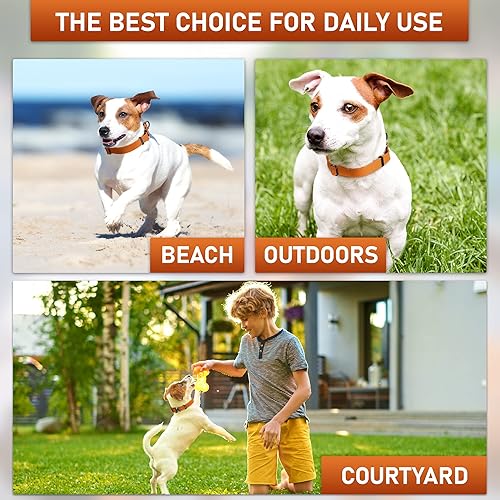 Miniatura 7 de Biothane - Collar de perro con hebilla de cobra, fabricado en Estados Unidos, etiqueta de identificación con código QR, collares de perro ajustables