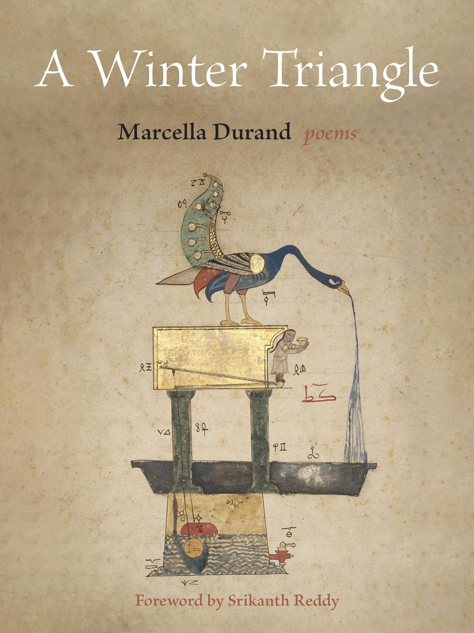 A Winter Triangle by Marcella Durand (Paperback Book)
