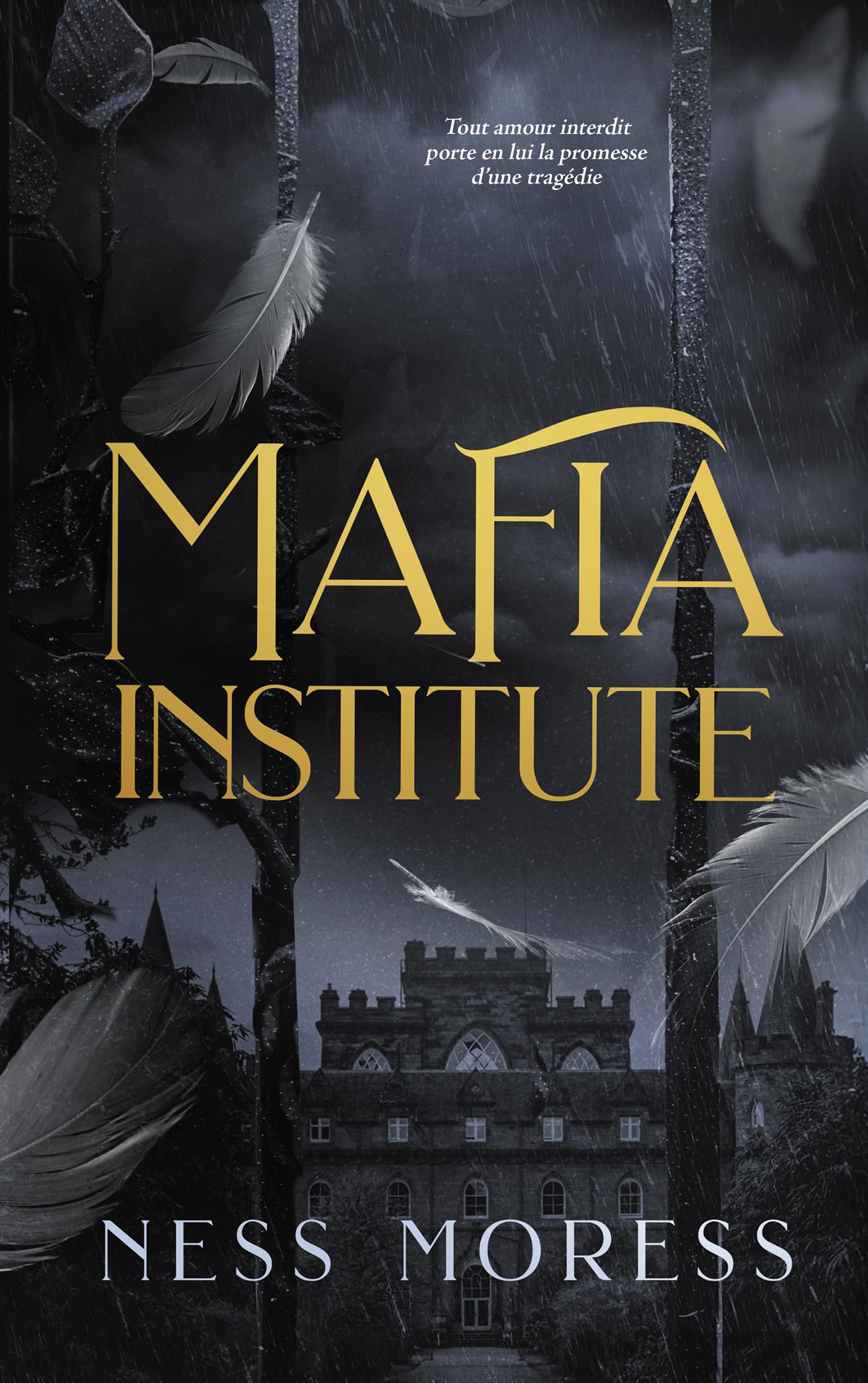 Mafia Institute: Le phénomène Wattpad Mafia Academy