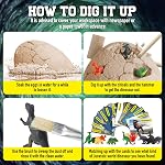 XXTOYS Dino Egg Dig Kit for Kids - Jumbo Dinosaur Egg with 12 Dinosaur Toys, Educational Science Digging Kit for Boys and Girls Ages 5-7, Learning Set for Kids, Great Gift for 5-Year-Old Boys