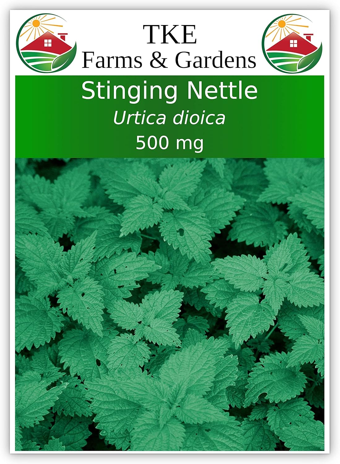 Where To Buy Stinging Nettle Seeds