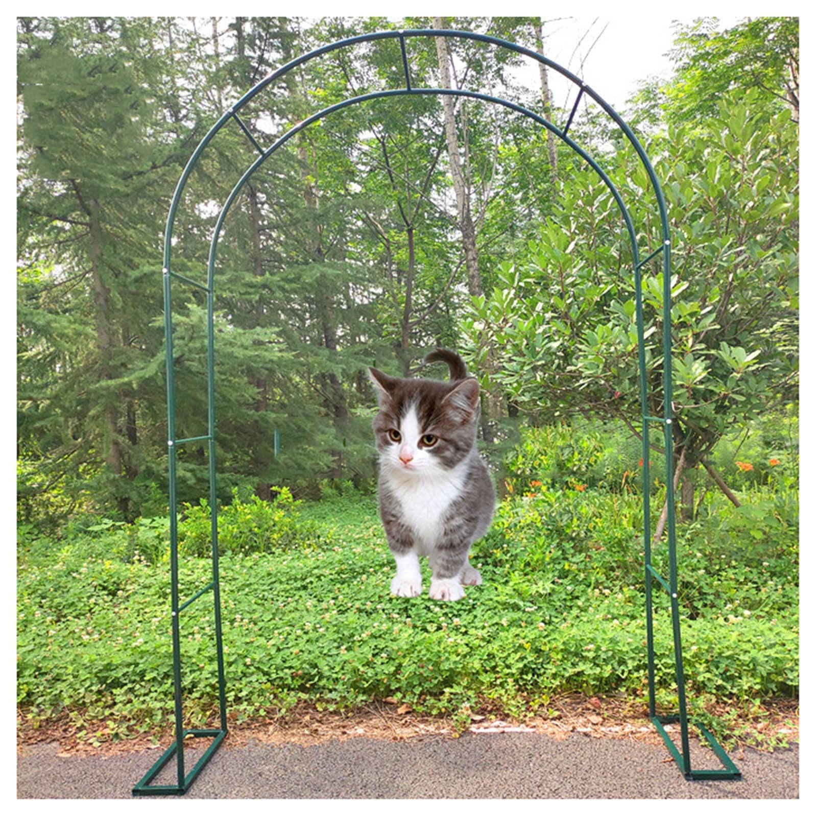 Arche de jardin décorative pour habiller une allée ou un événement extérieur