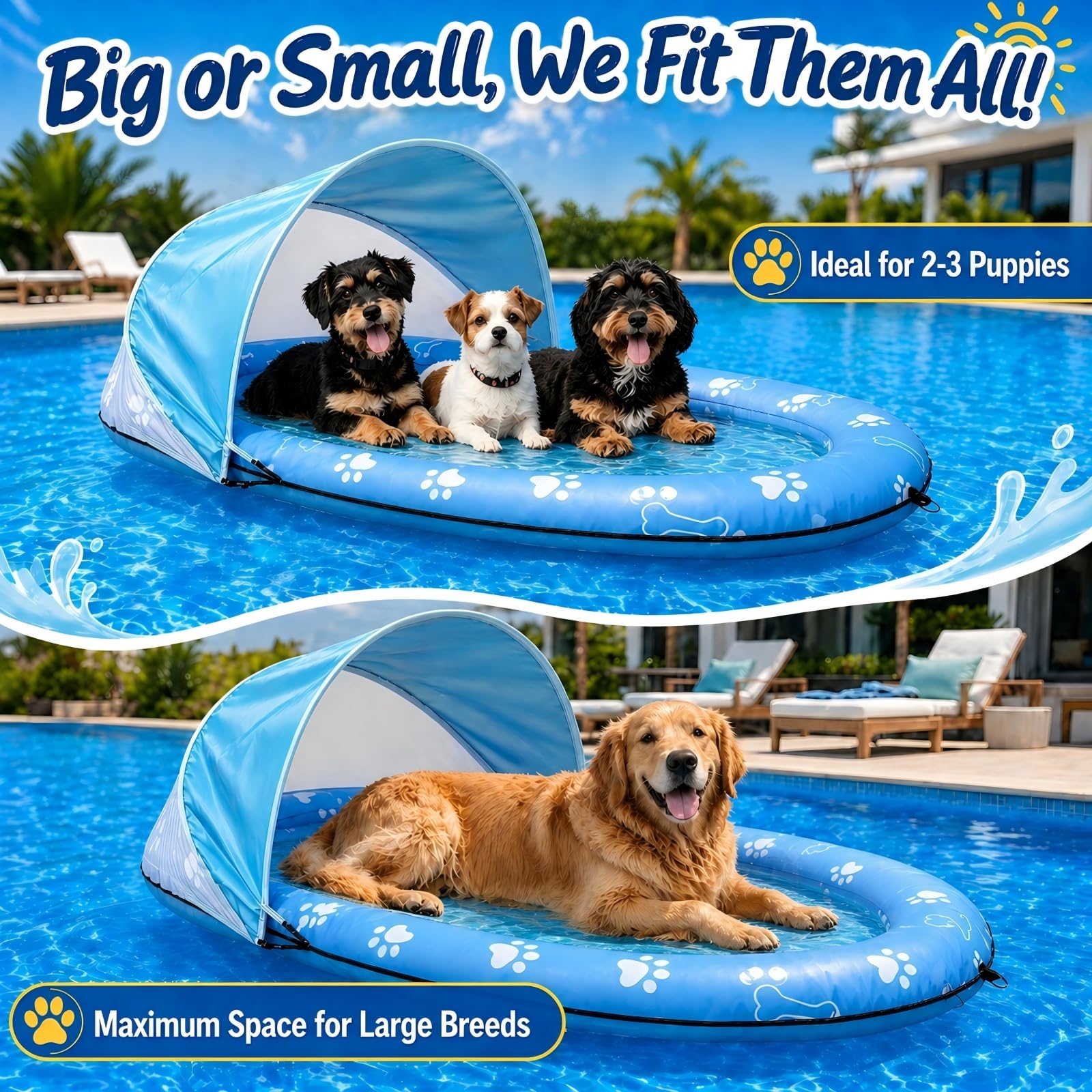 https://m.media-amazon.com/images/I/81fB3oGinqL.jpg