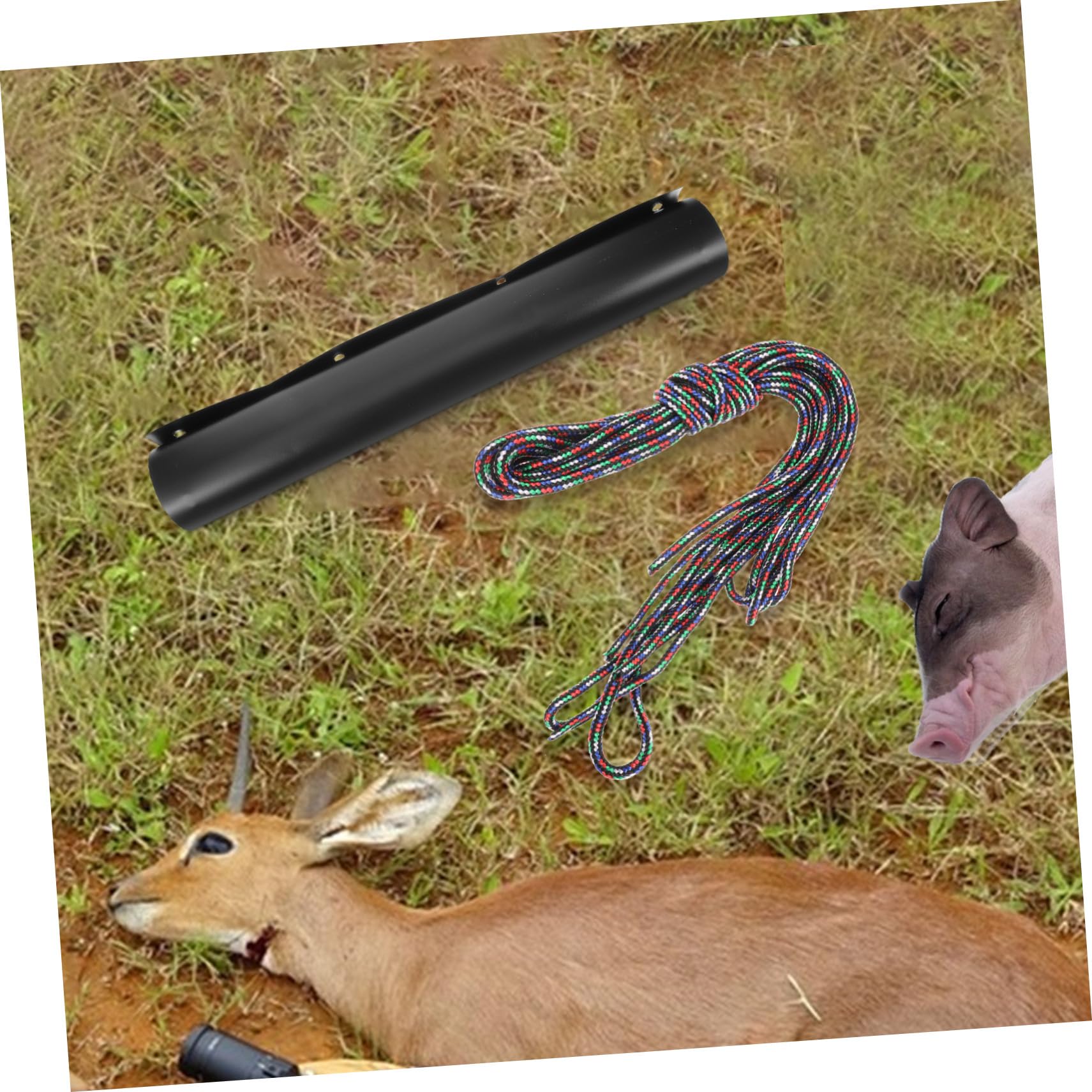 Toddmomy Mehrzweck Kunststoff-Schlitten Robustes Zugschlitten Für Jagd Ausrüstung Und Rentierziehen Outdoor Transport Zubehör Langlebig Stabil