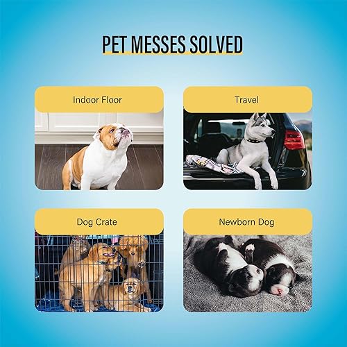 Miniatura 5 de COCOYO Best Value - Almohadillas de entrenamiento para perros de 22 x 22 pulgadas, 50 unidades, almohadillas para orina de perro, almohadillas