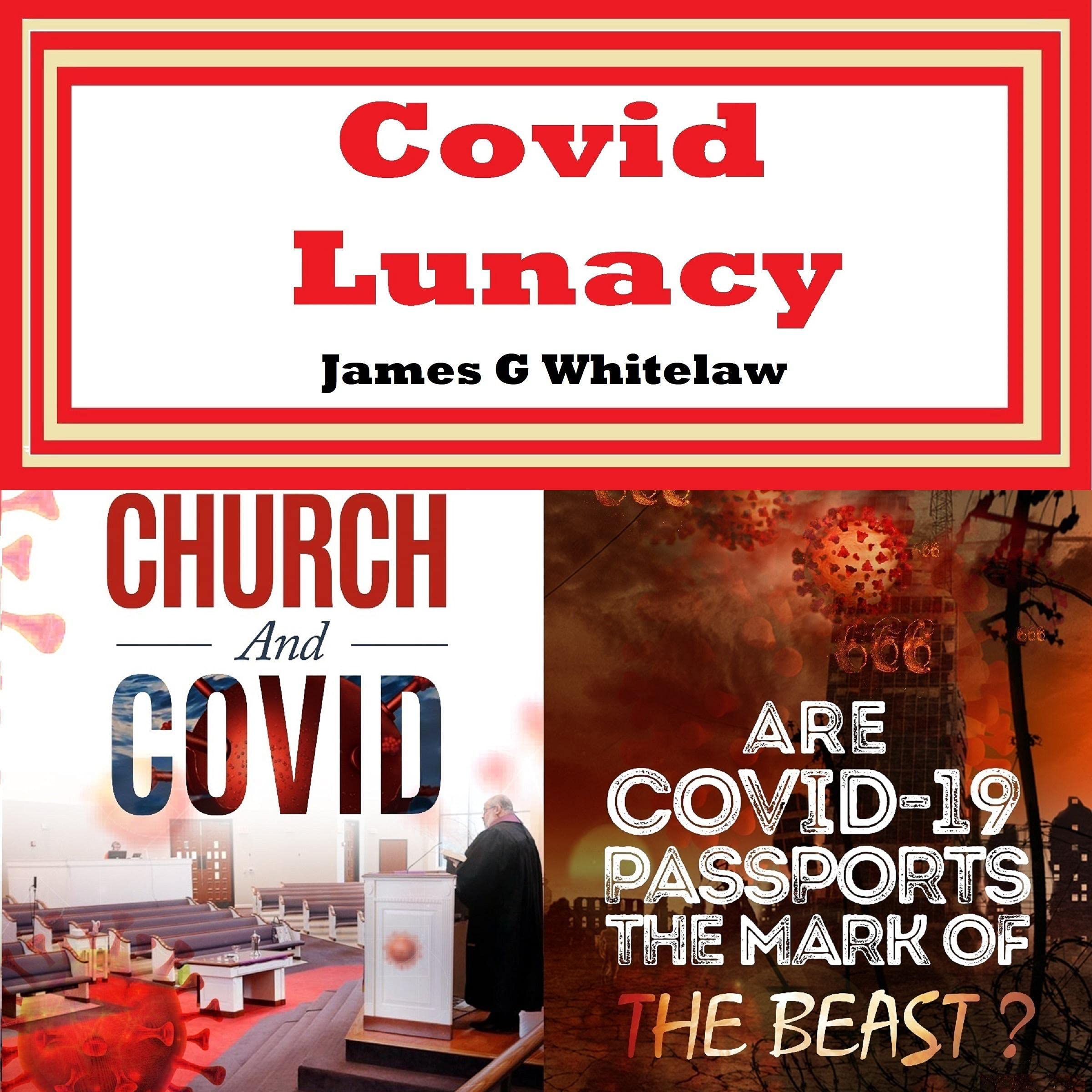 Covid Lunacy