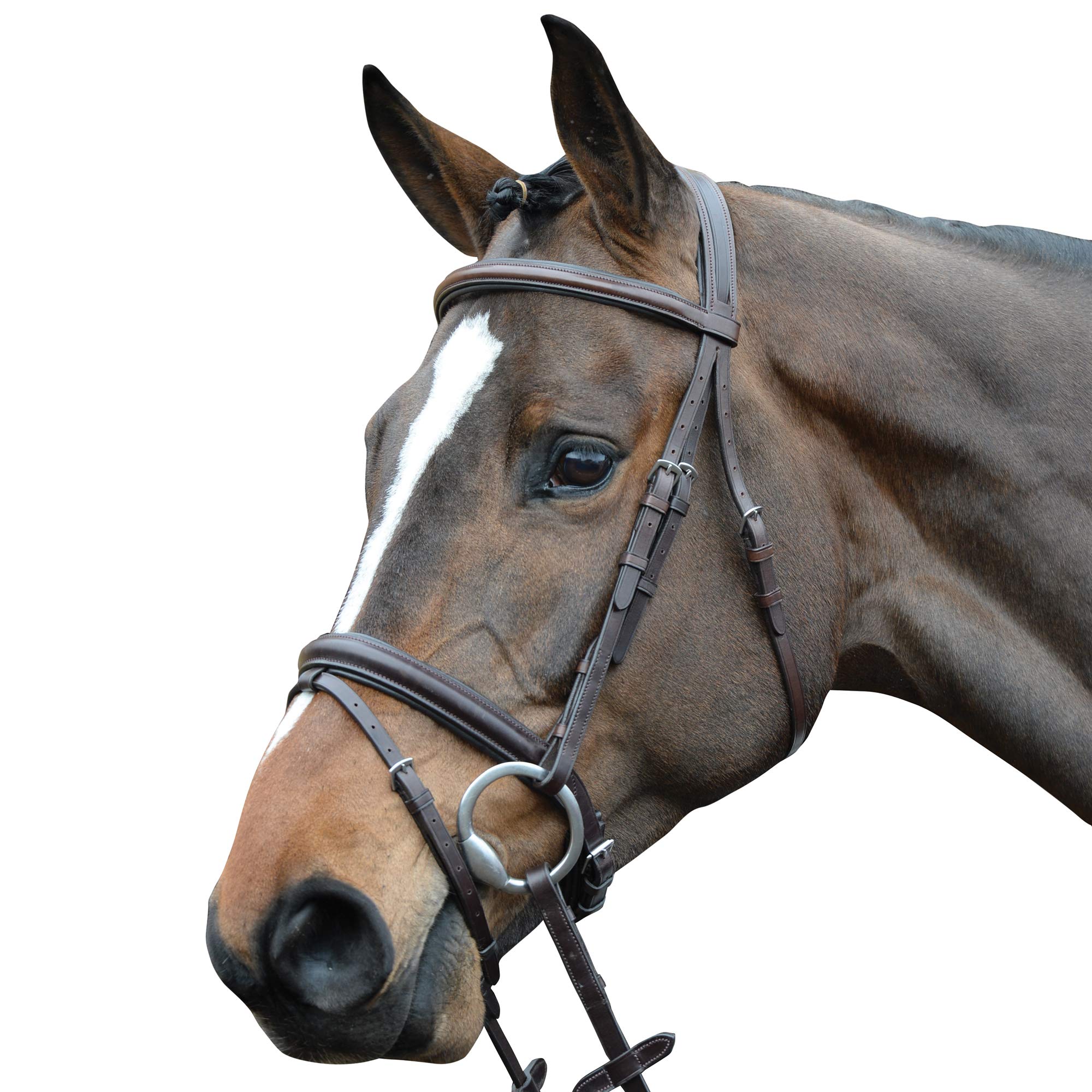 Collegiate Comfort Crown Padded Raised Flash Bridle, Brown, Cob โ image 1
