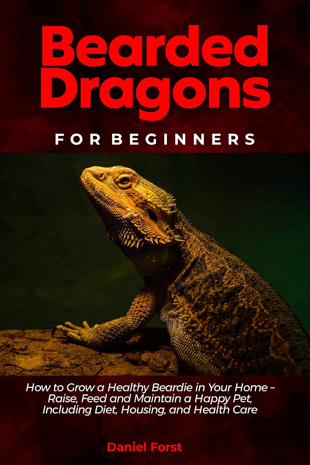 Bearded Dragons for Beginners How to Grow a Healthy Beardie in Your Home Raise, Feed and