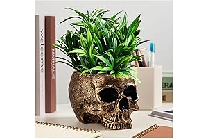 Skull Candy Bowl: Bronze Resin Halloween Treat Holder