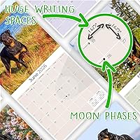 Vista 1266 de Razas de Perros 2017