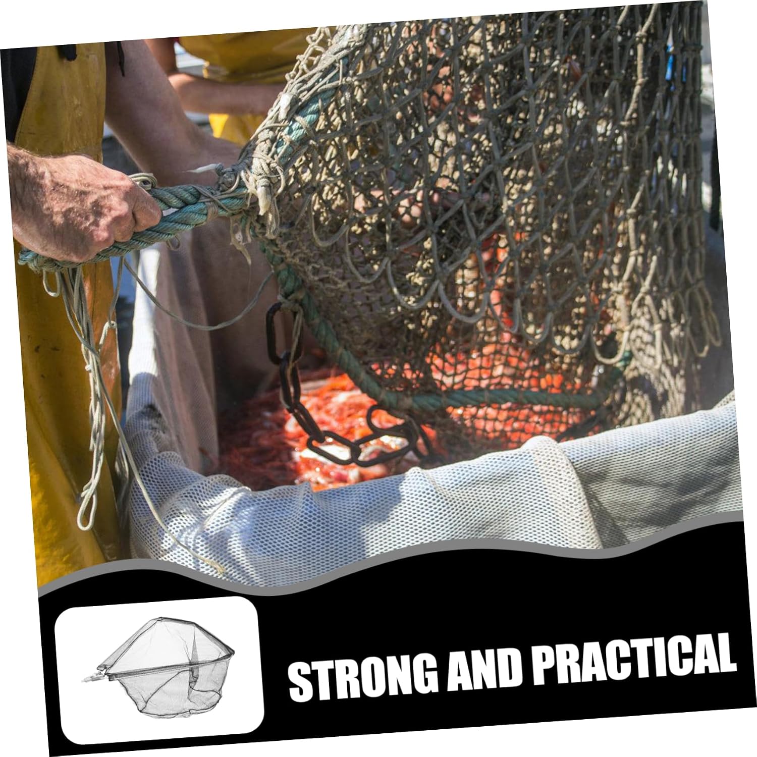 Castnet for Fishing Minnow Net Fish Nets for Fish Portable Head for Bank Boat image 3