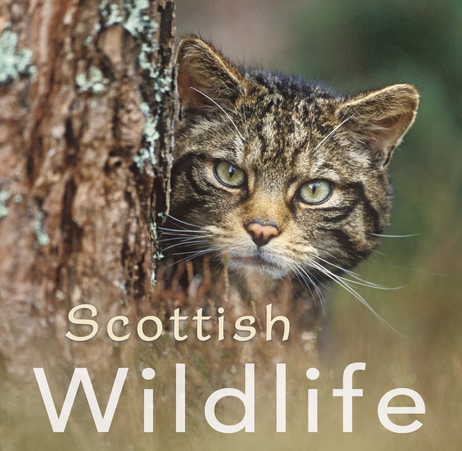 Scottish Wildlife (Gift Book) (Colin Baxter Gift Book)