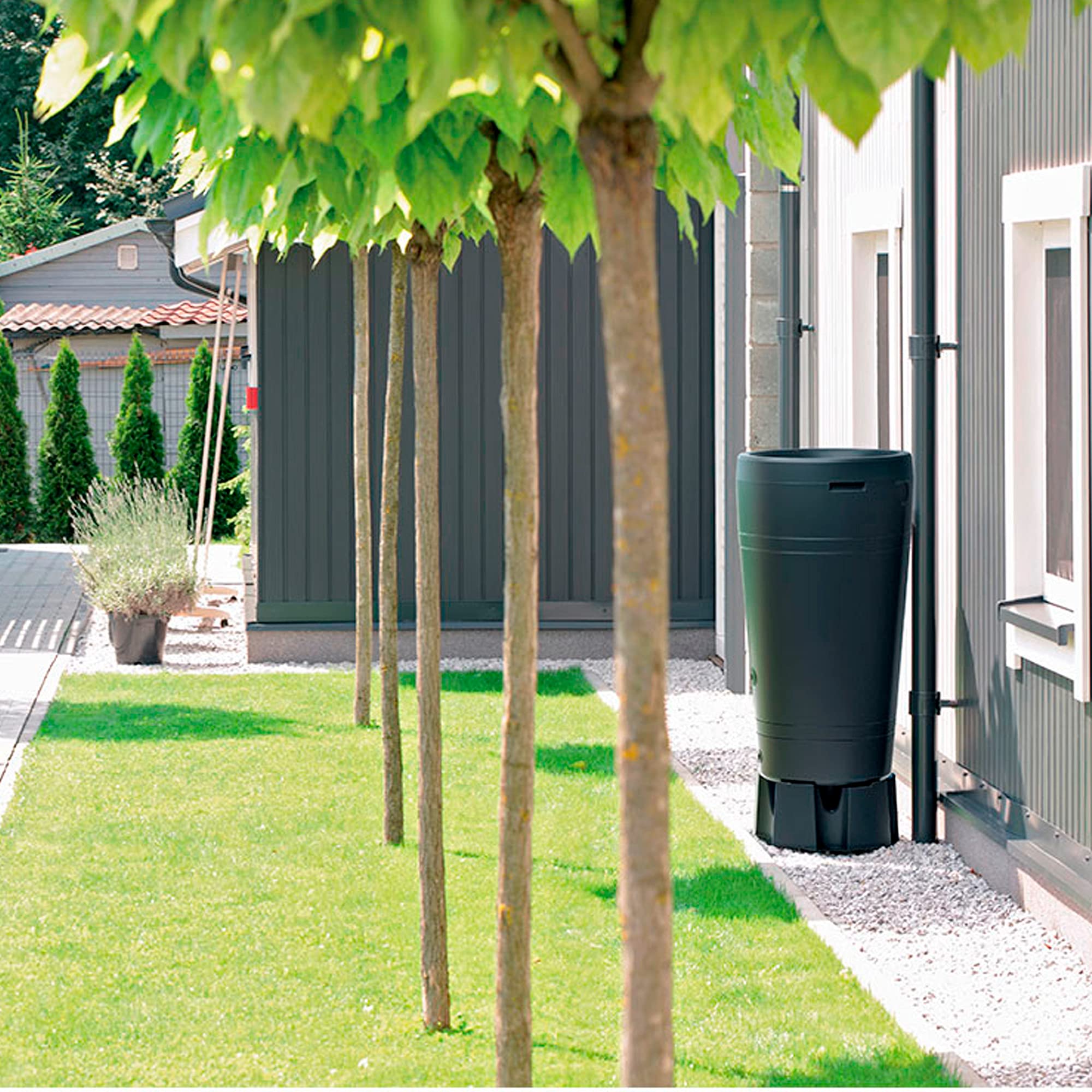 Prosperplast Barril de Agua de Lluvia 240L Maze de plastico en Color Gris Grafito (Largo) x 59,3 (Ancho) x 111 (Altura) cm