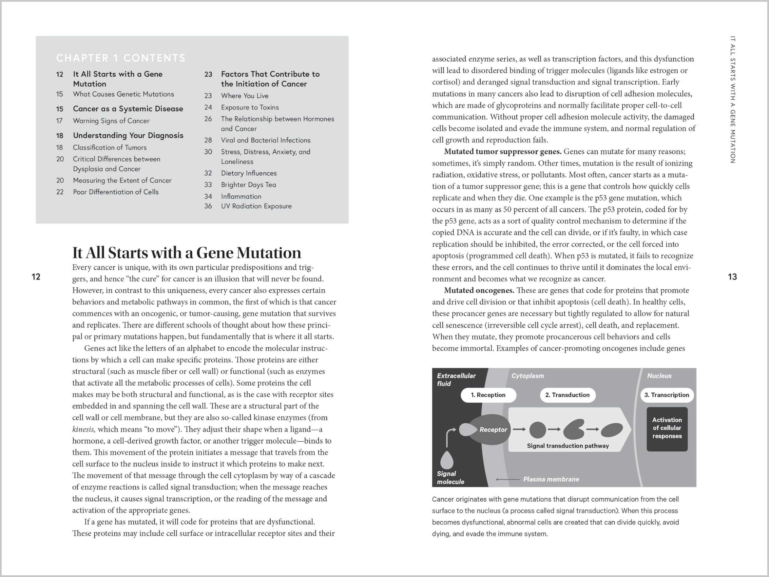 Holistic Cancer Care: An Herbal Approach to Reducing Cancer Risk, Helping Patients Thrive During Treatment, and Minimizing Recurrence