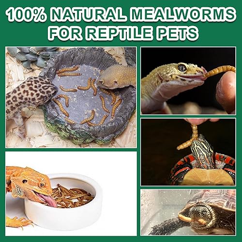 Miniatura 6 de capuca Gusanos secos de harina para reptiles, 100% natural, comida de mascotas con alto contenido de proteínas, alimento para tortugas dragón