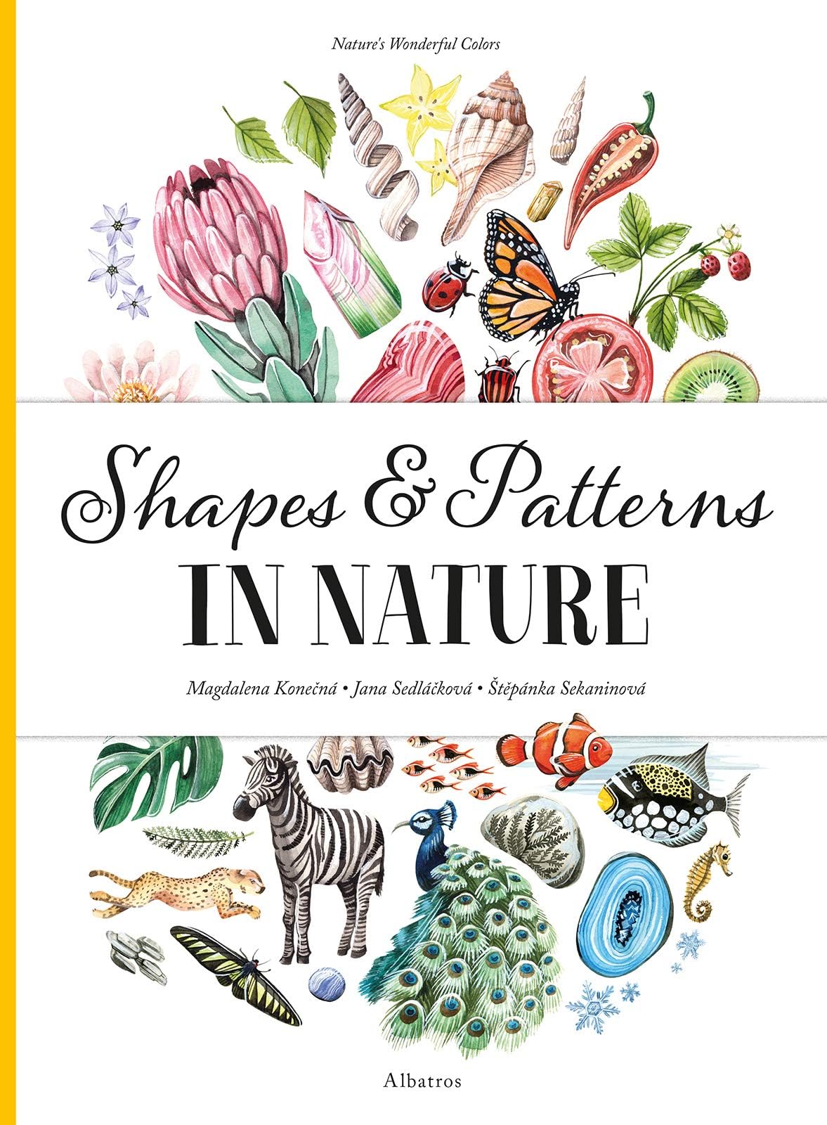 Shapes and Patterns in Nature: 3 (Nature's Wonderful Colors)
