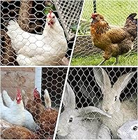 Vista 7 de Red de alambre de pollo Malla de alambre galvanizada Cercado hexagonal para jardín de aves de corral que cerca la barrera 6FTx50FT