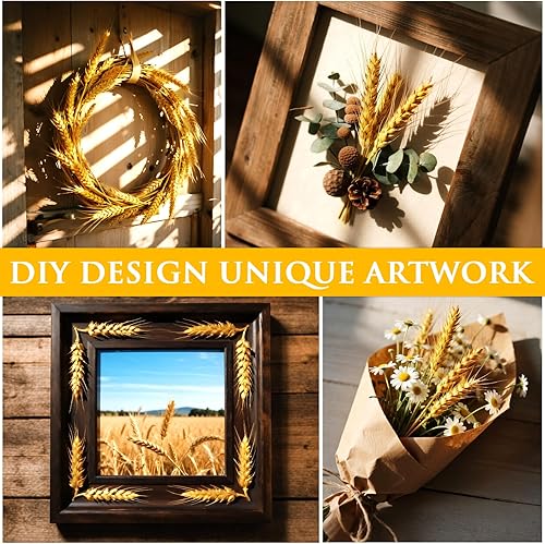 Miniatura 34 de Sukh Tallos de trigo seco rosa para decoración, 50 tallos de trigo rosa, ideales para el hogar, mesa de boda, centros de mesa de fiesta, decoración