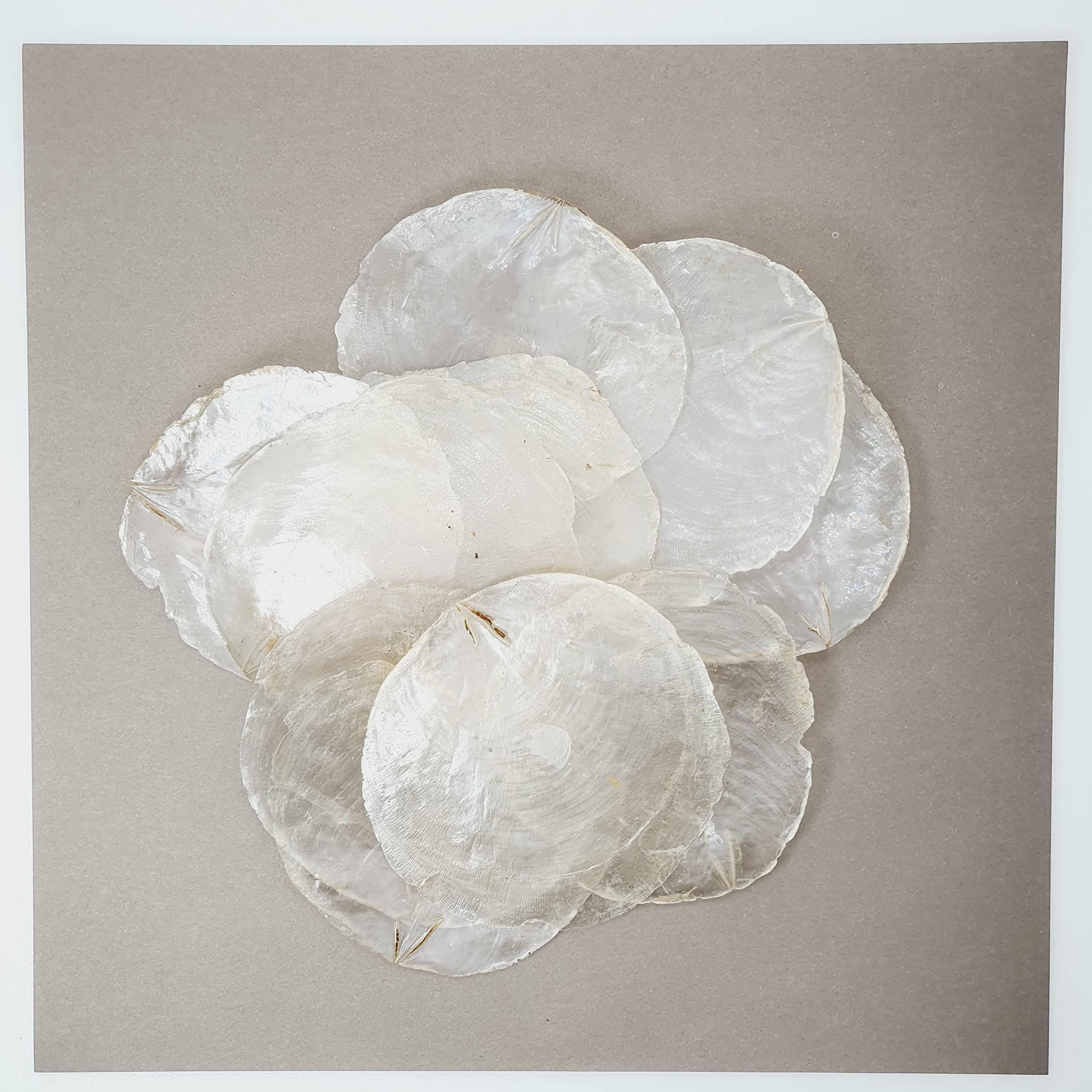 AVALON Capiz Shells for Crafts 8-10 cm Natural White Round Shell Discs Mother of Pearl Shell Ornaments Weddings/Home Decor, Beach & Costal Themed Arts and DIY Crafts Projects etc (10)