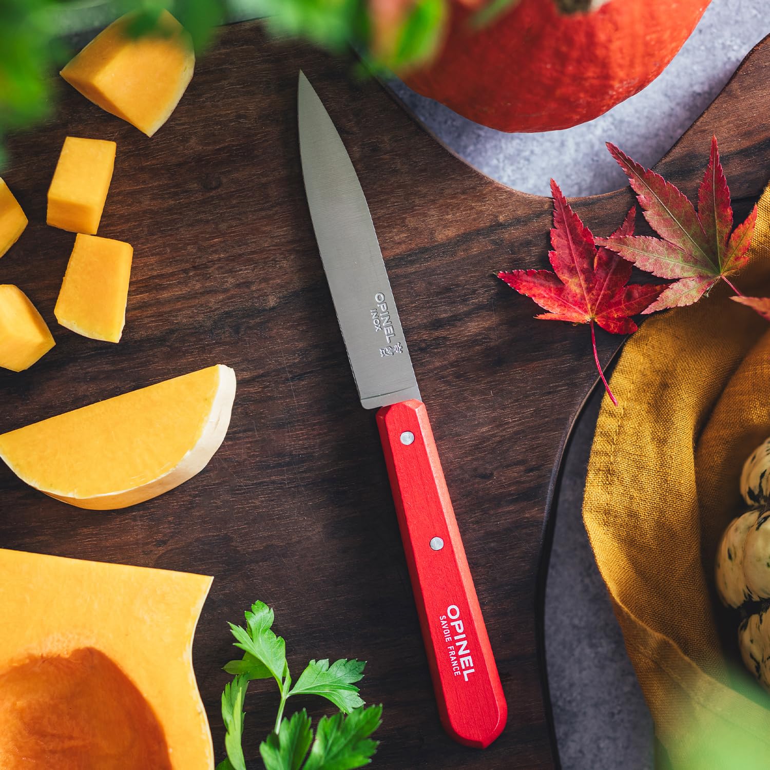 Opinel - Set mit 4 Gemüsemessern in Landschaftsfarbe N112. OPINEL
