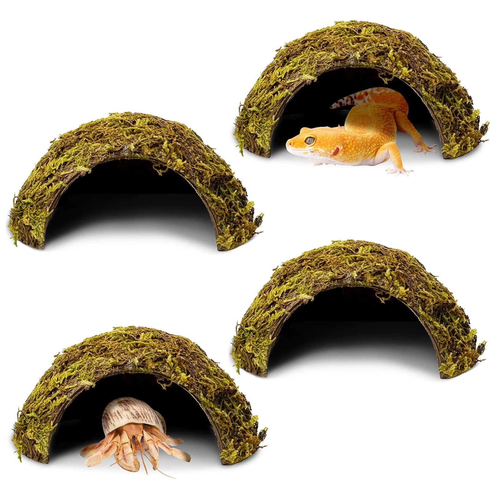 PINVNBY 4 Pack Natural Green Moss Hide Caves Coconut - habitat decor | Mubboo