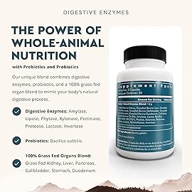 Ancestral Supplements Digestive Enzymes for Women & Men, 90 Capsules, with Probiotics and Grass Fed Beef Organs, Supports Gut Health, Digestive Health & Nutrient Absorption, Allergen Free, Non GMO
