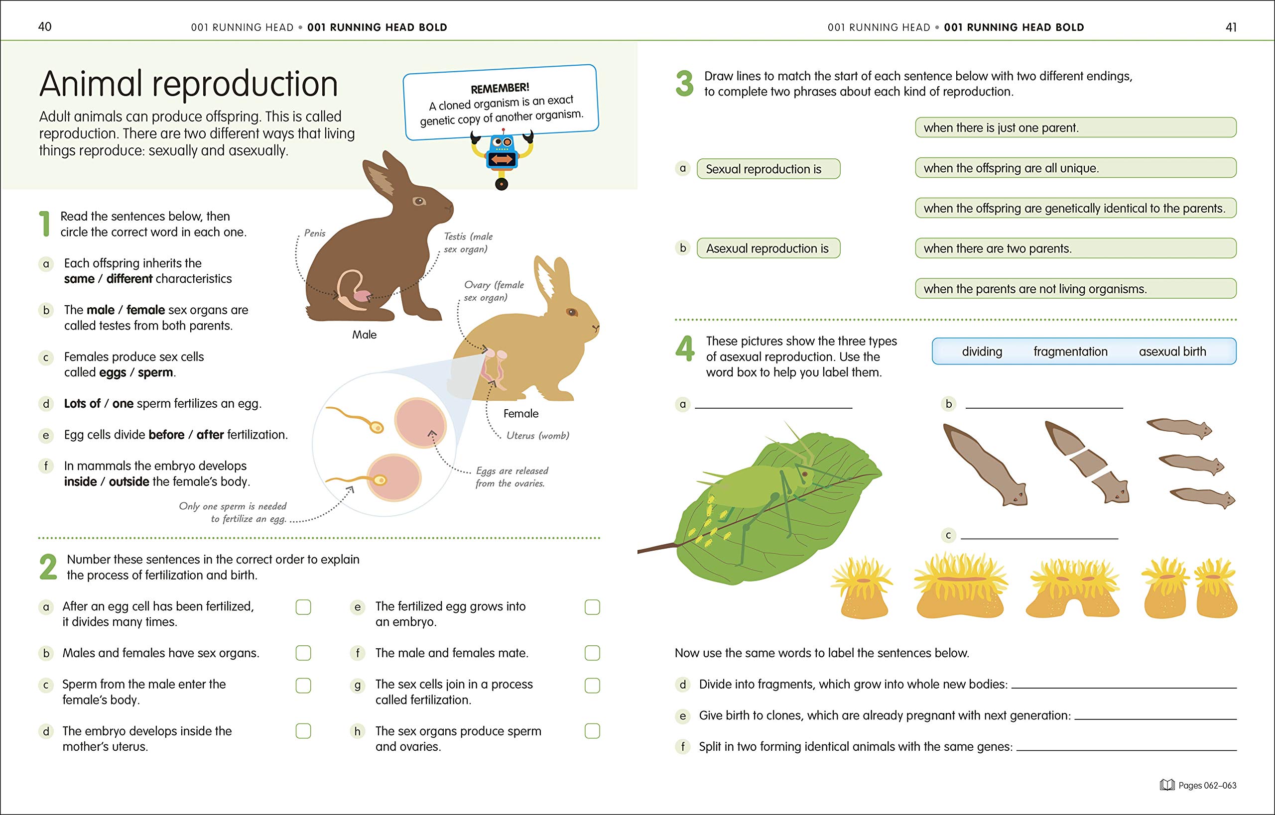 How to Be Good at Science, Technology and Engineering Workbook, Grades 2-5 (DK How to Be Good at) - Image 4