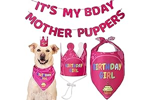 Doggyland Snoop Dogg Birthday Supplies: The Ultimate Party Pack for Your Furry Friend