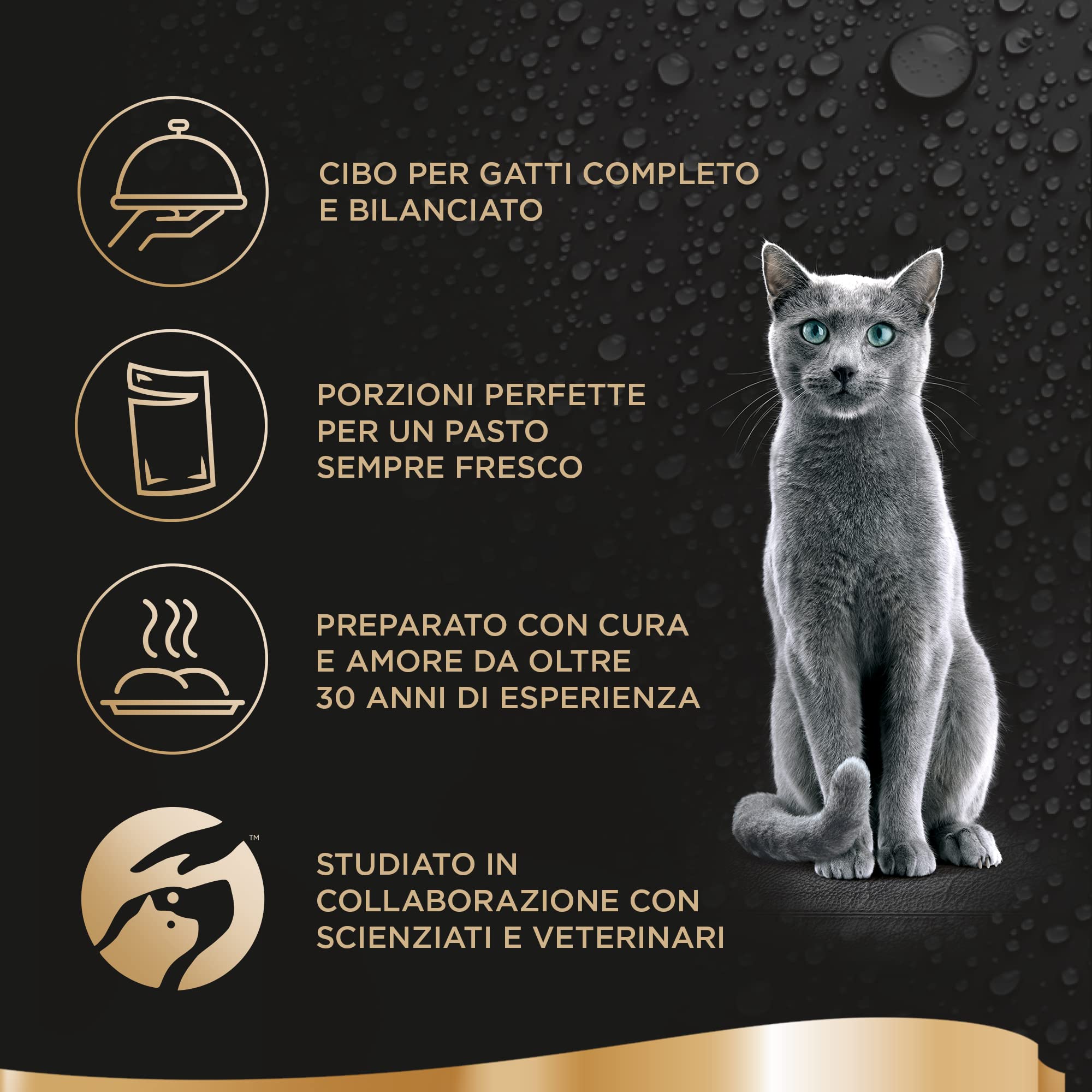 Sheba Délice Du Jour Cibo Umido per Gatti, al gusto di Tonno e Salmone in Gelatina, 12 Confezioni da 6 Bustine x 50 g ognuna , Totale: 3600 g