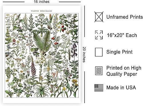 Miniatura 530 de Poster Master Póster vintage de orquídea, estampado de flores retro, arte de pared de plantas exóticas, arte botánico, regalo para hombres y