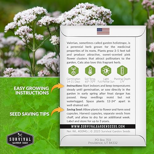 Miniatura 2 de Semillas de valeriana para plantar, 1 paquete con instrucciones para plantar y cultivar hierba medicinal Valeriana Officinalis en el jardín de
