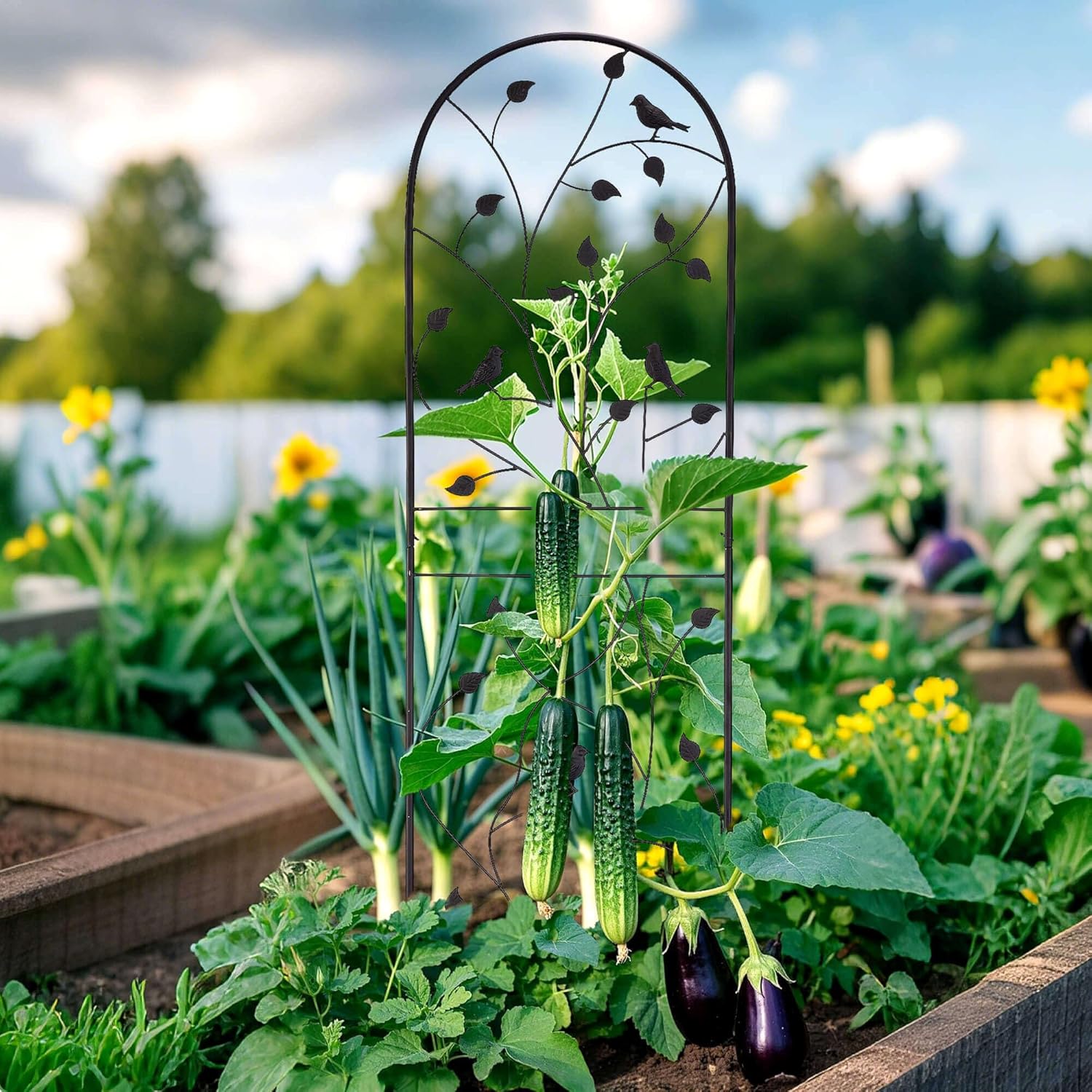 Garden Trellis for Climbing Plants, 71" H x 20" W, 2 Pack Heavy-Duty Metal Garden Trellis, Black Coated Rustproof Trellis for Plants Outdoor, Roses, Ivy, Flowers, and Vines