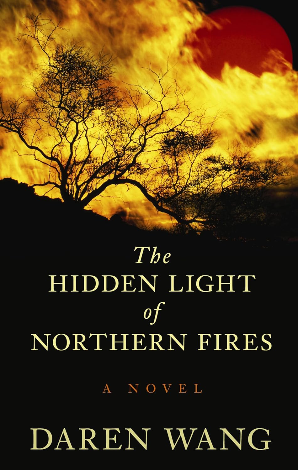 The Hidden Light of Northern Fires (Thorndike Press Large Print
