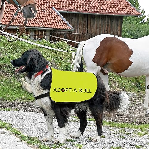 Miniatura 6 de Chaleco de adopción para perro, adopta un arnés para perro Bull chaleco con eslogan de Pitbull (Adopt-A-Bull-M)