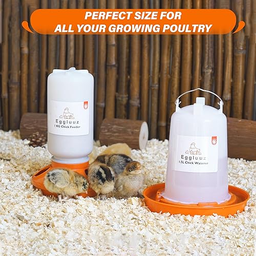 Miniatura 7 de Eggluuz Kit de comedero y bebedero automático para pollos y bebedero, comedero para pollos de 1 litro y bebedero de pollo de 1.5 L con patas
