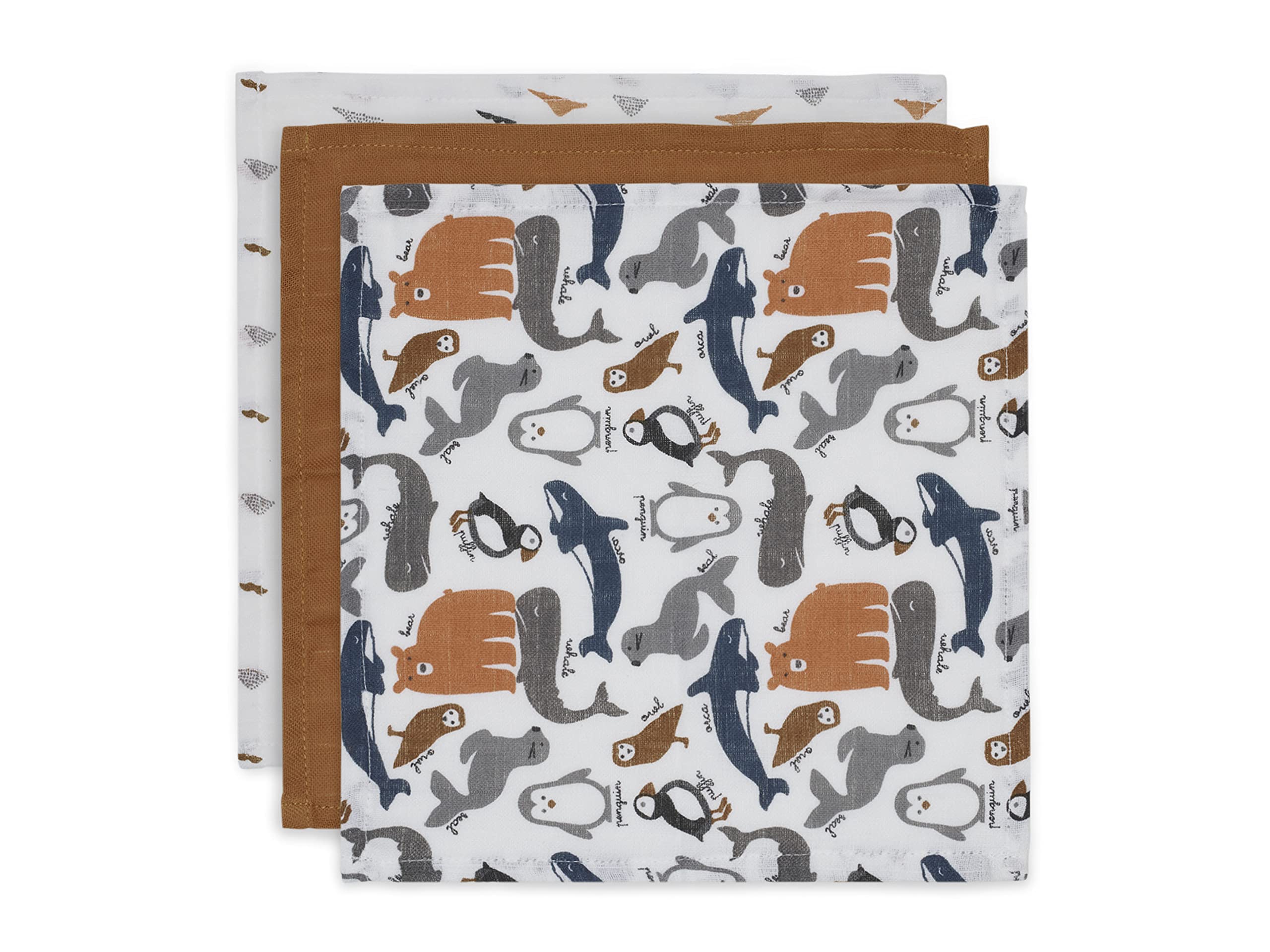 Jollein537-848-65349 Hydrophilic Polar Mouth Cloth Pack of 3 Multi-Coloured 45 g