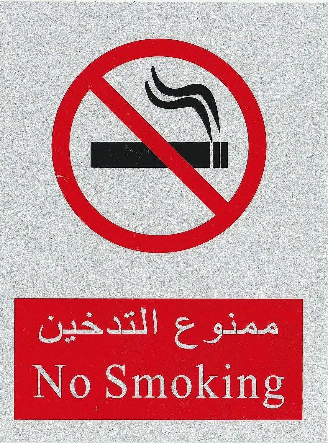 ZL No Smoking Signs Stickers (15 x 20cm)