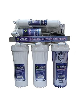 Wellon 10 LPH Openflow RO Water Purifier