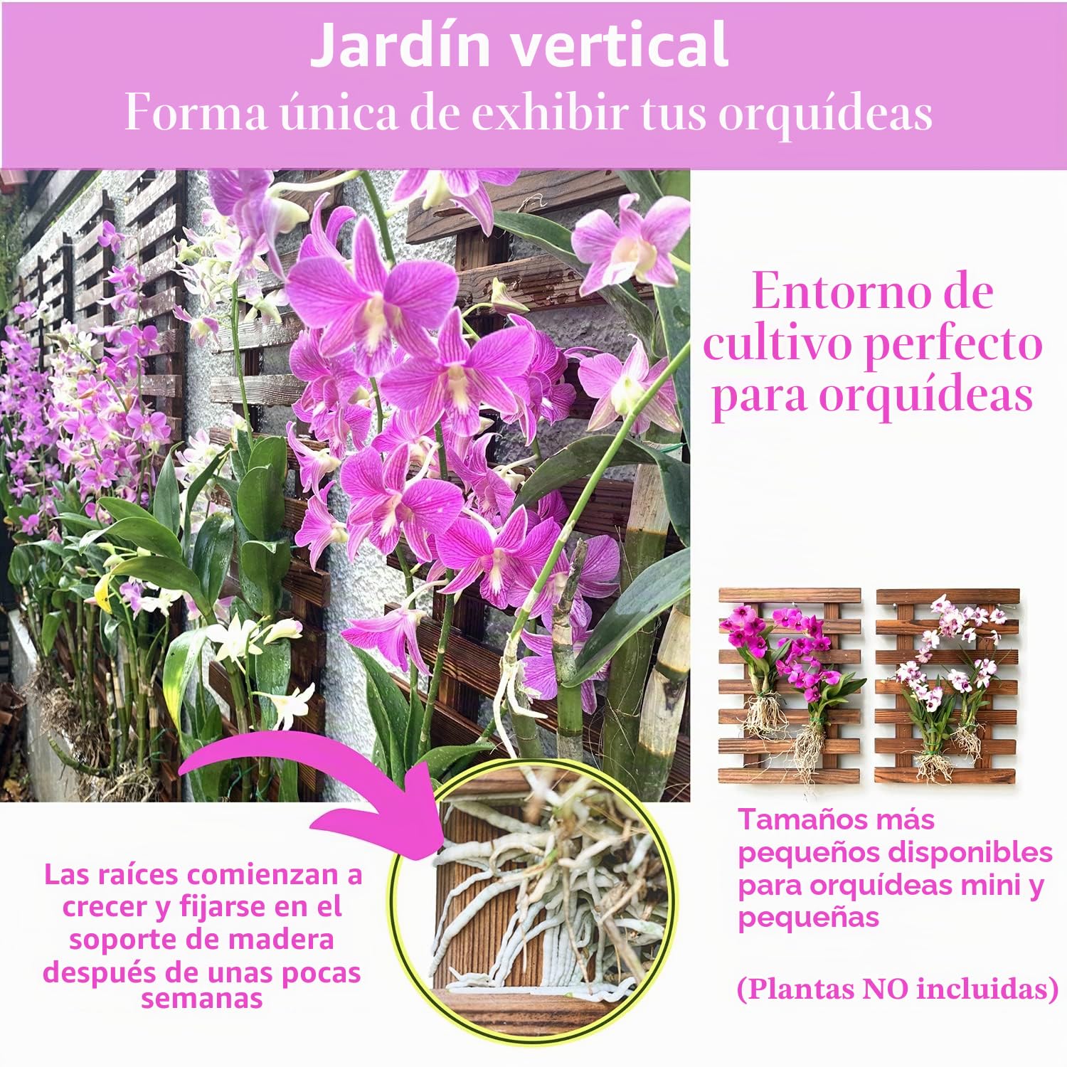 ShopLaLa Soporte de Pared para Plantas - Macetas Colgantes para Interiores y Exteriores
