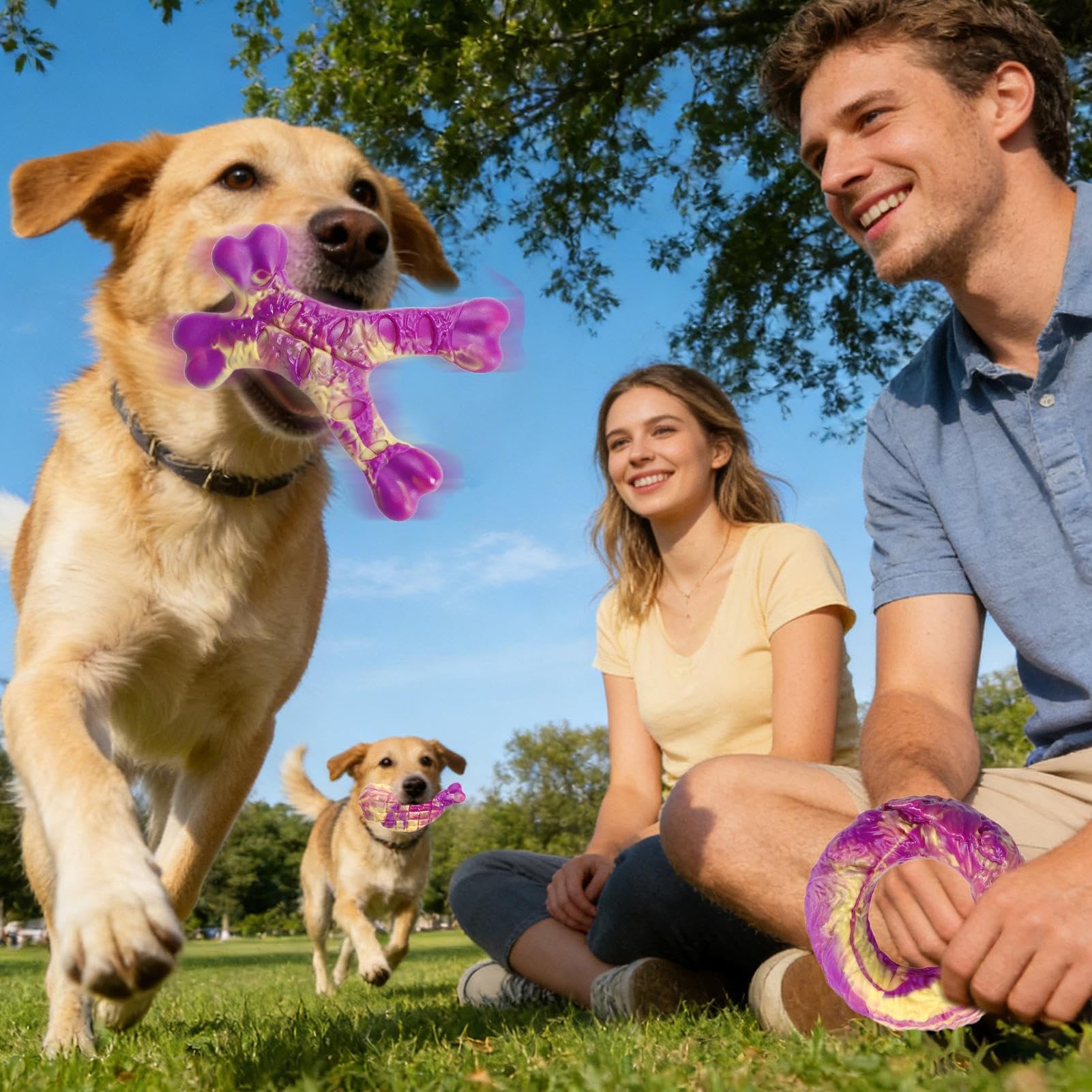 Set di 3 giocattoli interattivi da masticare per cani in nylon | Materiale privo di schegge per la pulizia dei denti; adatto per cuccioli di piccola e media taglia e tutte le razze; per