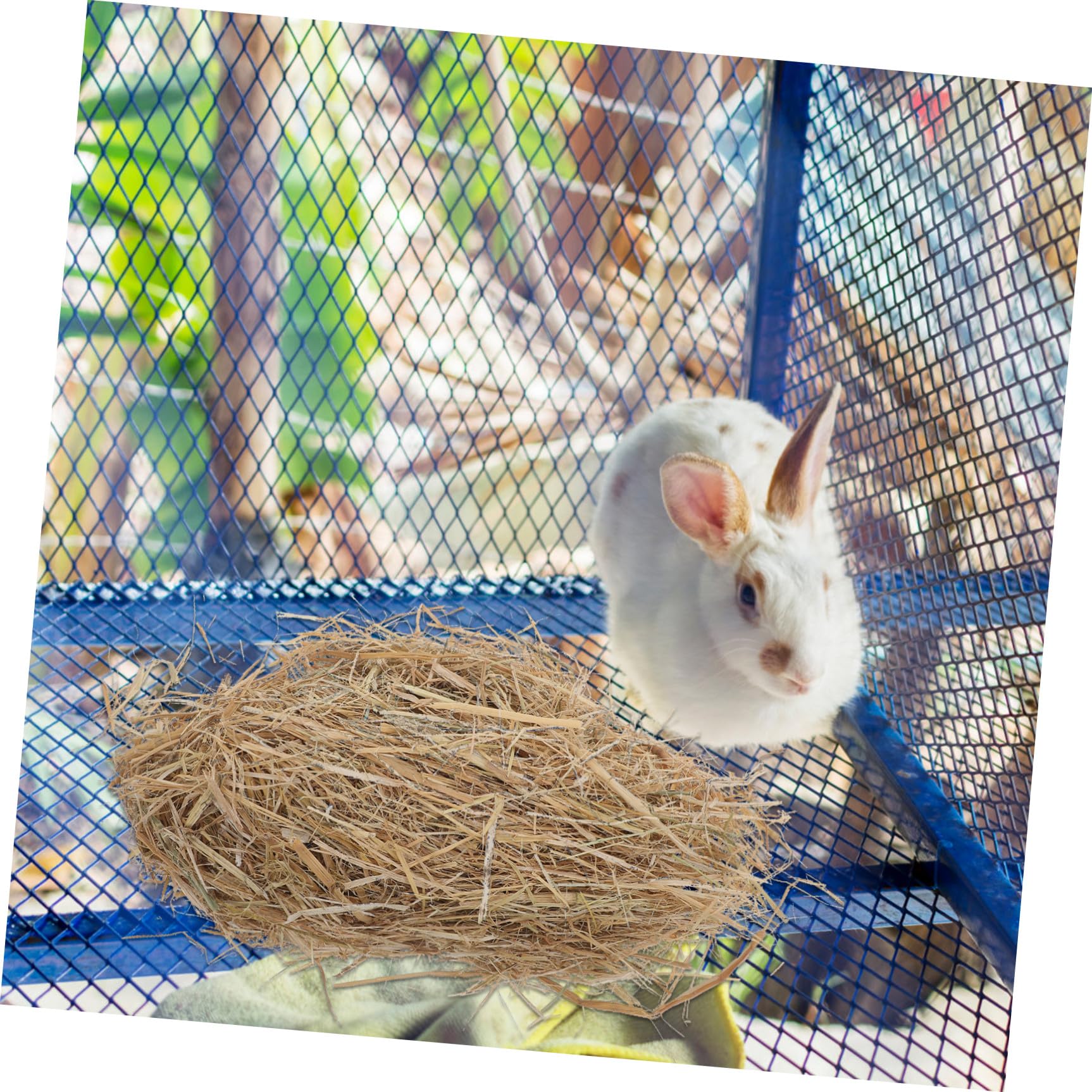 Naturstroh für Katzenunterkunft 1 Lb 500g als Tiernestmatte
