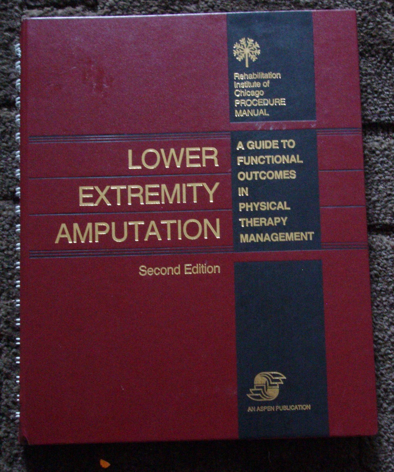 Lower Extremity Amputation Guide To Functional Outcomes In Physical ...