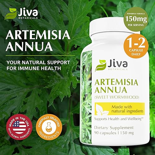 Miniatura 3 de Jiva Botanicals Artemisia Annua Cápsulas de ajenjo dulce - Apoya el sistema inmunológico y la salud normal del hígado - Fabricado en los Estados