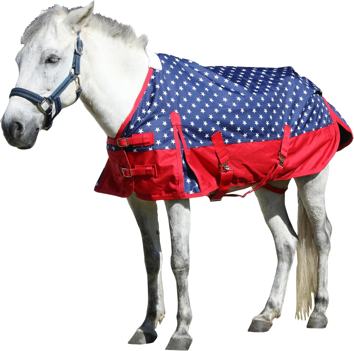 LEAFOREST 1200 Denier Waterproof Mini Shetland Rug Pony Rug Foal Rug Turnout Rug (no Filling) Star 48IN