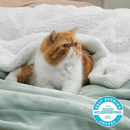 Miniatura 2 de Bedsure Manta de tamaño King de vellón sherpa para la cama, gruesa y cálida para el invierno, suave y mullida, grande, color verde salvia, 108 x 90