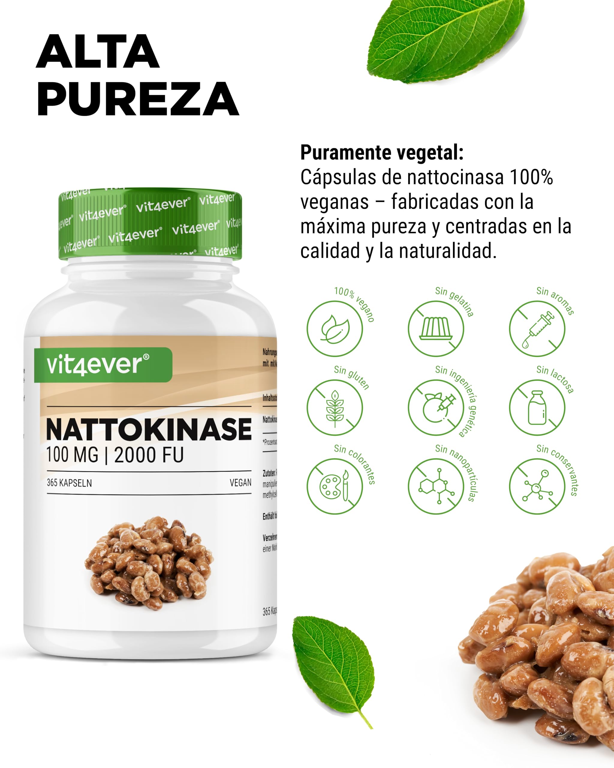 vit4ever Nattokinase - 365 Cápsulas de 100 mg Nattoquinasa (20.000 FU/g) - Suministro para 12 Meses - Alta Dosis - Vegano - Sin OMG - Sin Aditivos No Deseados