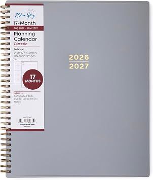 Blue Sky 2026-2027 Weekly & Monthly Academic Planner, 8.5"x11", Silver