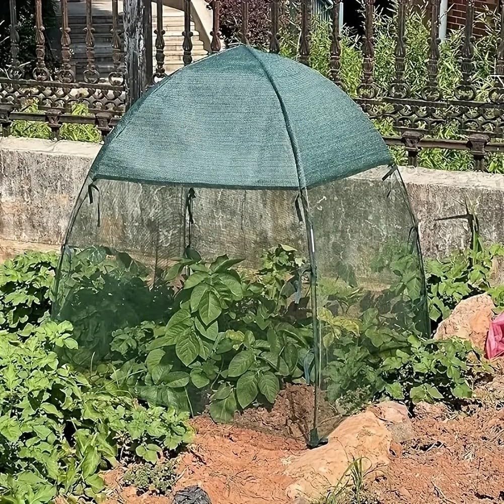 Protectora Plantas 60cm Antiaves con Estacas Protectora Plantas(PE White +4)